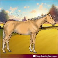 Horse Color:Palomino