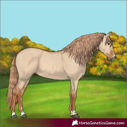 Horse Color:Red Dun 
