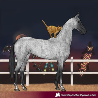 Horse Color:Blue Roan  and Blue Roan 