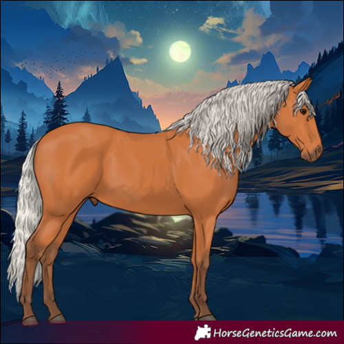 Horse Color:Silver Bay 