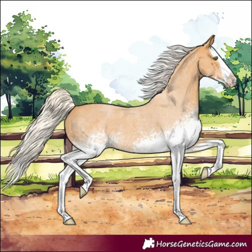 Horse Color:White Spotted Silver Buckskin Roan Splash 