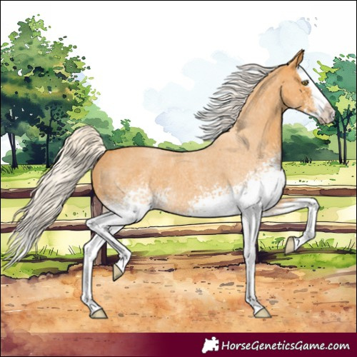 Horse Color:White Spotted Silver Buckskin Roan Splash 