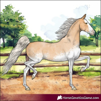 Horse Color:White Spotted Silver Buckskin Roan Splash 
