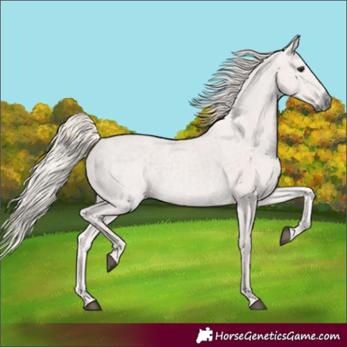 Horse Color:Silver Black 