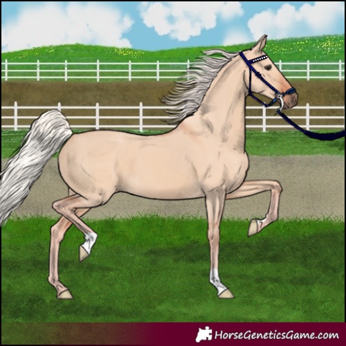 Horse Color:Silver Brown Dun