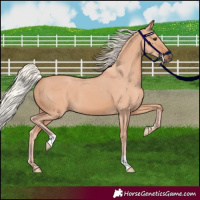 Horse Color:Silver Brown Dun