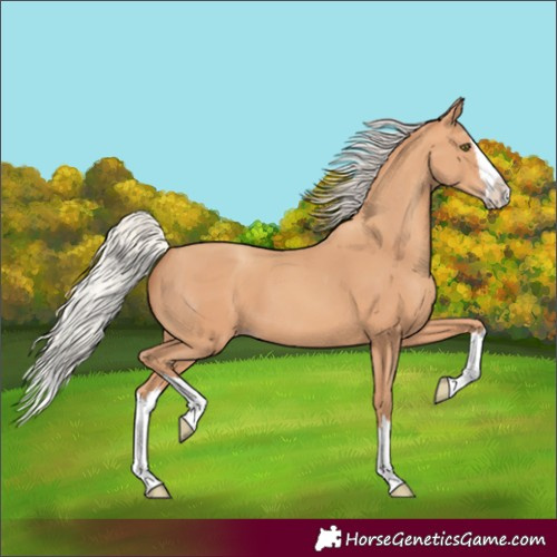 Horse Color:Silver Amber Champagne Splash 