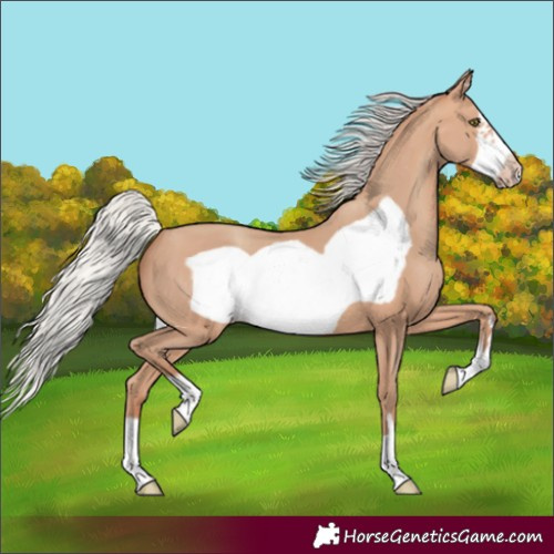 Horse Color:Silver Sable Champagne Frame 