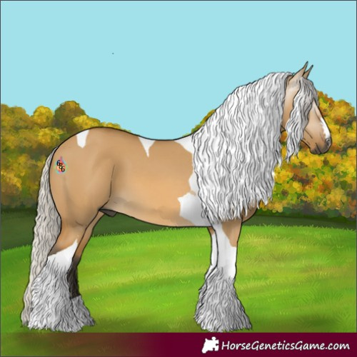 Horse Color:Gray Silver Buckskin Dun Tobiano