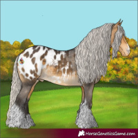 Horse Color:Silver Buckskin Tobiano Blanket Rabicano 