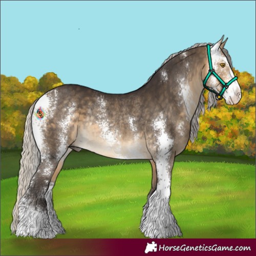 Horse Color:Silver Buckskin Sabino Rabicano 