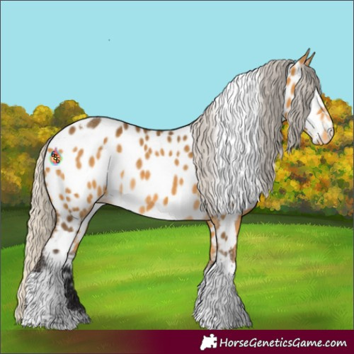 Horse Color:Silver Buckskin Tobiano Near Leopard Rabicano