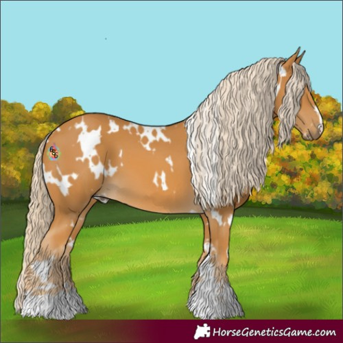 Horse Color:White Spotted Palomino 