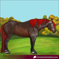 Horse Color:Gray Painted Bay