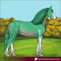 Horse Color:Watercolor Black Sabino Rabicano 