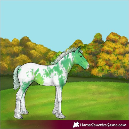 Horse Color:Watercolor White Spotted Silver Brown Tobiano Appaloosa
