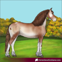 Horse Color:Blue Onyx Pearl Tobiano