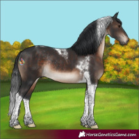 Horse Color:Brown Tobiano Rabicano