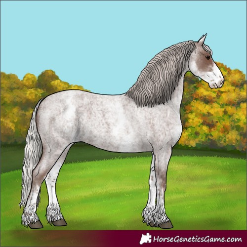 Horse Color:White Spotted Silver Blue Roan Rabicano