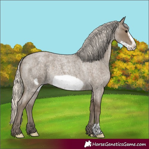 Horse Color:Silver Smoky Blue Roan Frame 