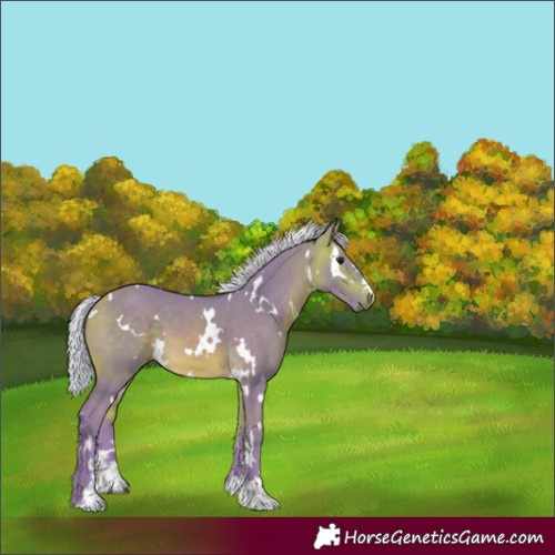 Horse Color:Watercolor White Spotted Silver Buckskin