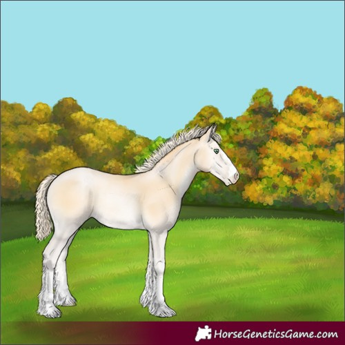 Horse Color:Palomino Pearl Onyx