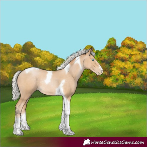 Horse Color:Silver Smoky Black Pearl Tobiano Rabicano