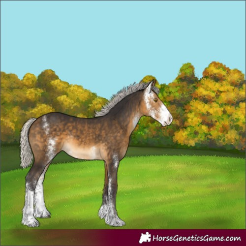 Horse Color:Silver Buckskin Sabino Rabicano 