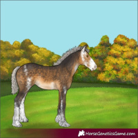 Horse Color:Silver Buckskin Sabino Rabicano