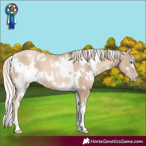 Horse Color:White Spotted Chocolate Palomino Pearl 