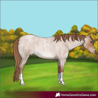 Horse Color:Blue Roan Pearl 