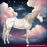 Horse Color:Perlino Blanket 