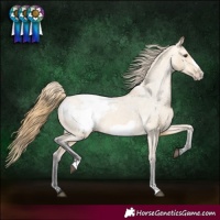 Horse Color:Buckskin Dun Frame Appaloosa 