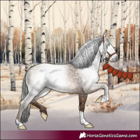 Horse Color:Gray Amber Champagne Tobiano 