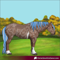 Horse Color:Painted Silver Black Ice Tobiano 