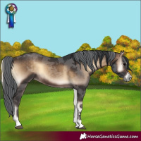 Horse Color:Bay Onyx Merle Rabicano 