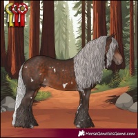 Horse Color:White Spotted Silver Brown Mushroom 