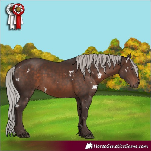 Horse Color:White Spotted Silver Brown Mushroom 