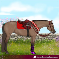 Horse Color:Liver Red Dun