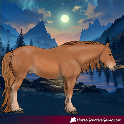 Horse Color:Chestnut 
