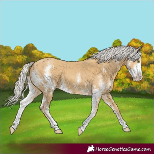 Horse Color:Silver Classic Cream Champagne Sabino
