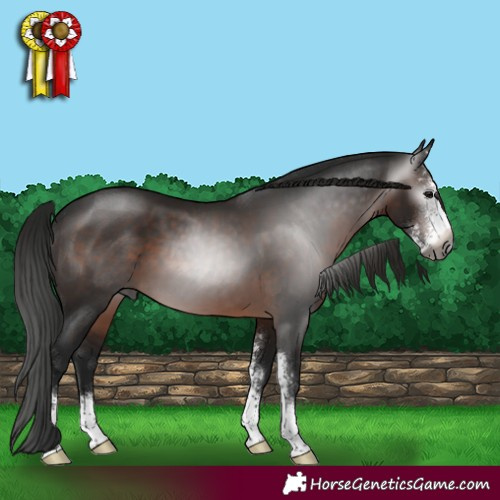 Horse Color:Gray Brown Sabino 