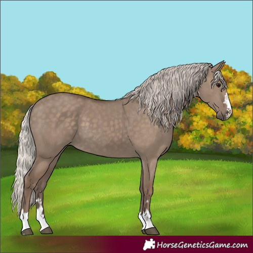 Horse Color:Silver Grullo