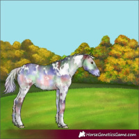 Horse Color:Nacre White Spotted Silver Blue Onyx Chinchilla