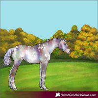 Horse Color:Nacre White Spotted Chocolate Silver Brown Chinchilla Onyx 