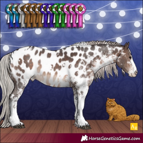Horse Color:White Spotted Silver Brown Appaloosa Rabicano