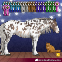 Horse Color:White Spotted Silver Brown Near Leopard Rabicano 