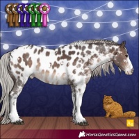 Horse Color:White Spotted Silver Brown Appaloosa Rabicano