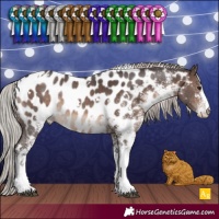 Horse Color:White Spotted Silver Brown Appaloosa Rabicano