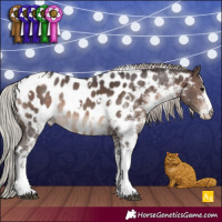 Horse Color:White Spotted Silver Brown Appaloosa Rabicano